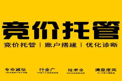 揭秘百度推广：成功案例背后的秘诀